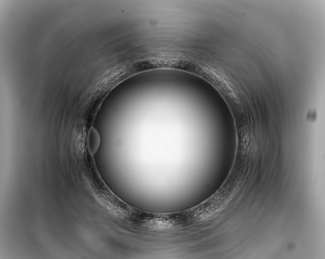 X0000099430498200805161114
