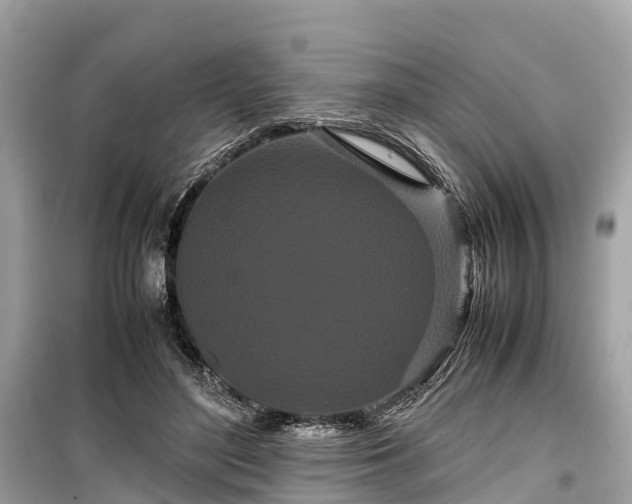 X0000099430500200805161114