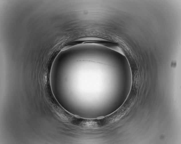 X0000099430501200805161114
