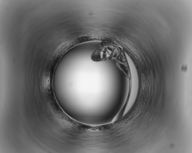 X0000099430502200805161114