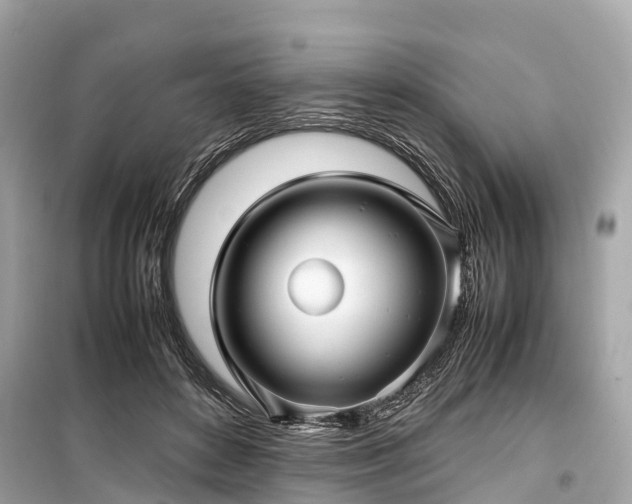 X0000099430504200805161113