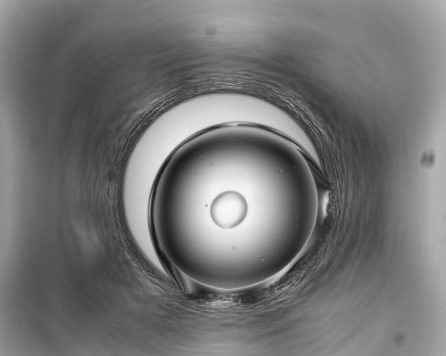 X0000099430505200805161113