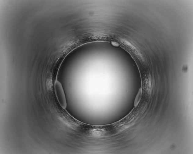 X0000099430508200805161113