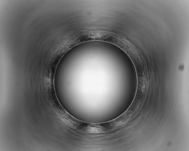 X0000099430510200805161113