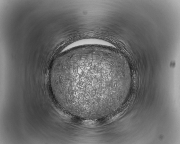 X0000099430511200805161113