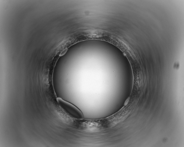 X0000099430512200805161113