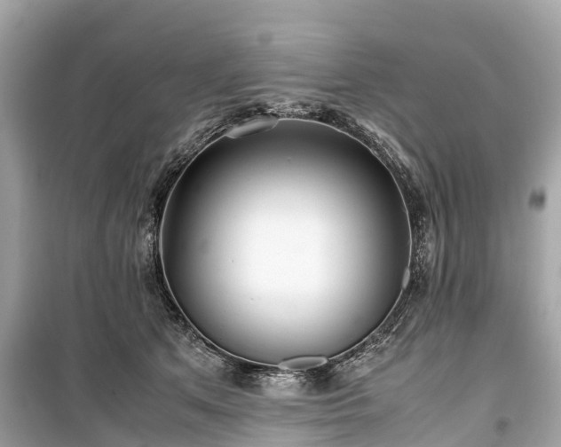 X0000099430513200805161113