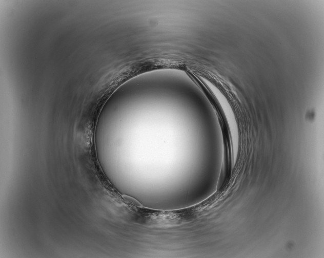 X0000099430517200805161113