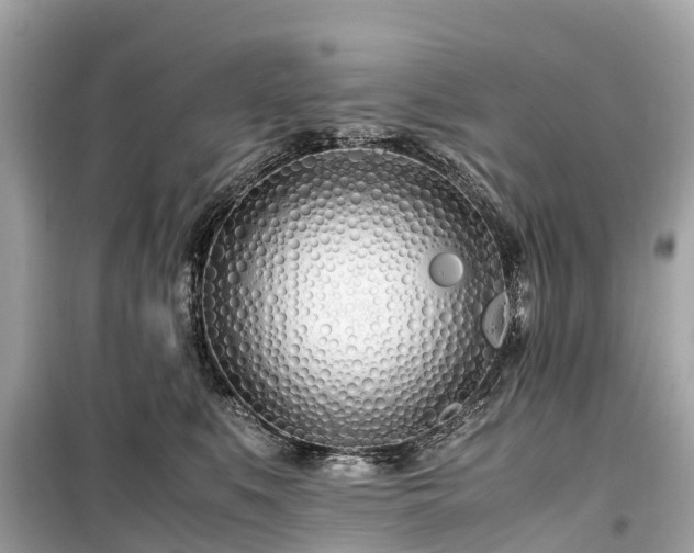 X0000099430519200805161113