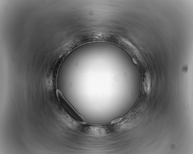 X0000099430520200805161113