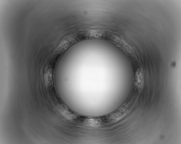 X0000099430522200805161113