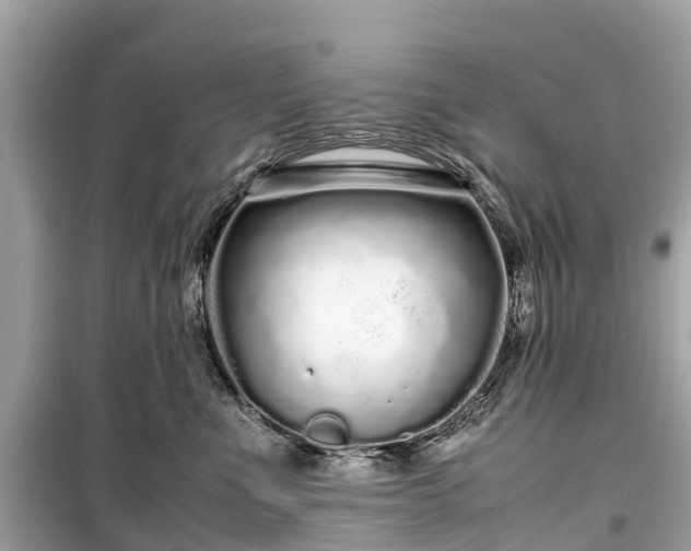 X0000099430523200805161113