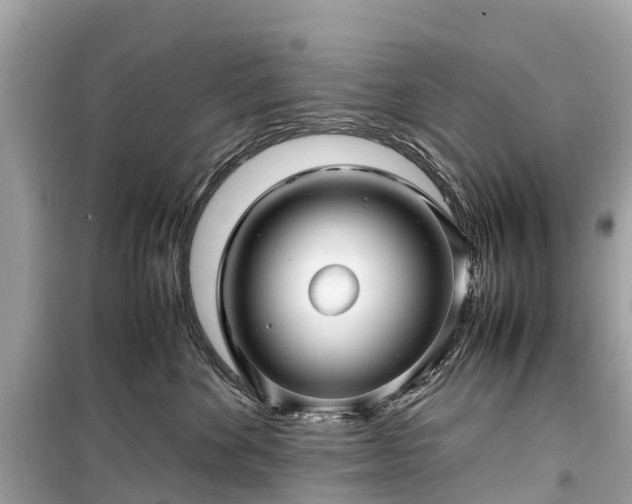 X0000099430524200805161113