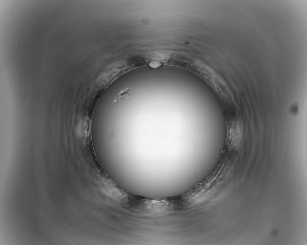 X0000099430525200805161113
