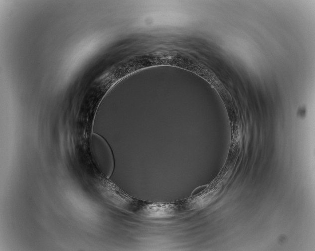 X0000099430526200805161113
