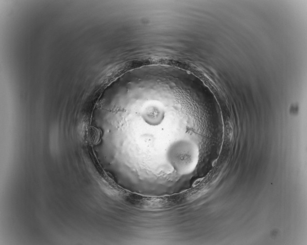 X0000099430527200805161113