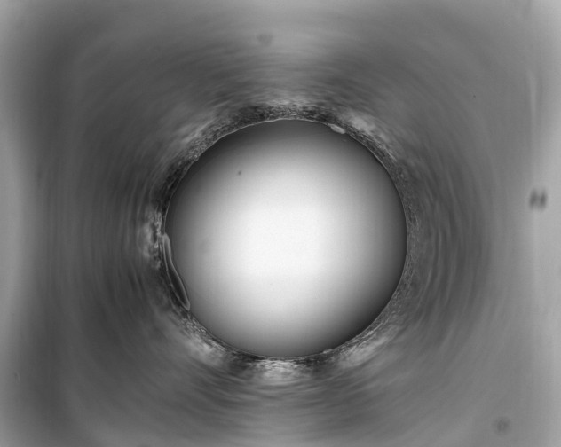 X0000099430528200805161113