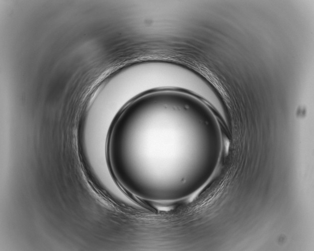 X0000099430530200805161112