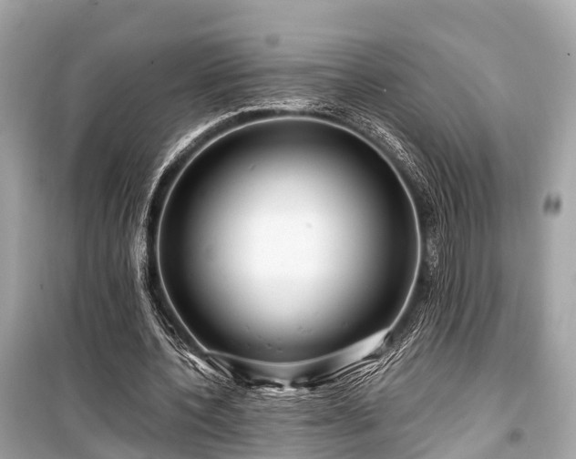 X0000099430532200805161112