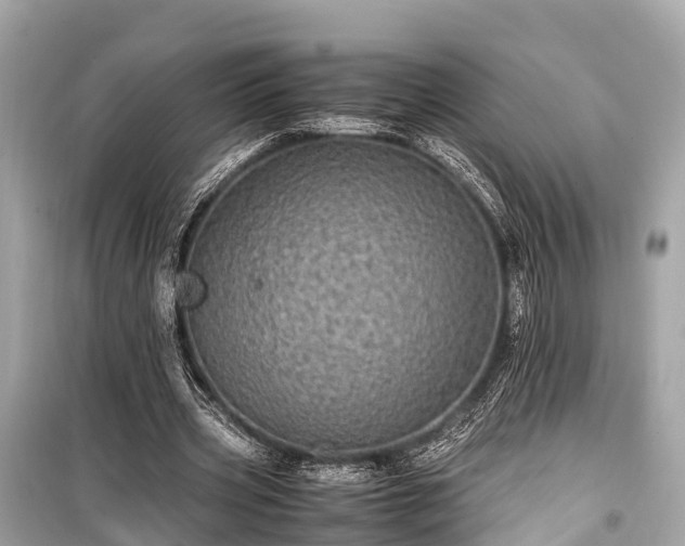 X0000099430533200805161112