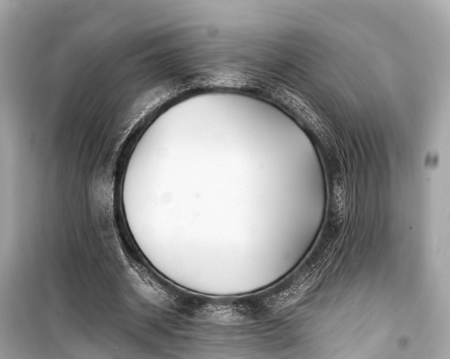 X0000099430534200805161112