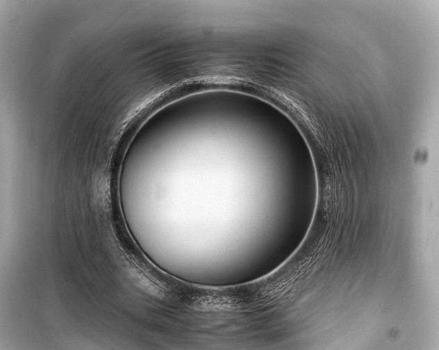 X0000099430535200805161112