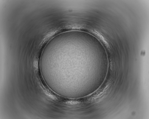 X0000099430537200805161113