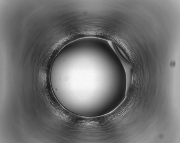 X0000099430539200805161113