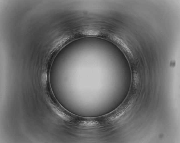 X0000099430541200805161113