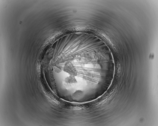 X0000099430542200805161113