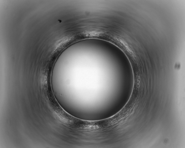 X0000099430543200805161113