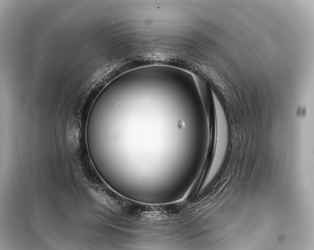 X0000099430544200805161113
