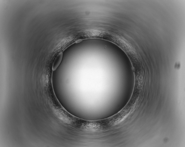 X0000099430546200805161113