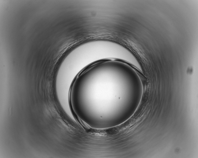 X0000099430548200805161113