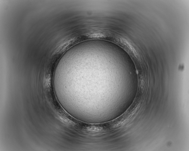 X0000099430549200805161113