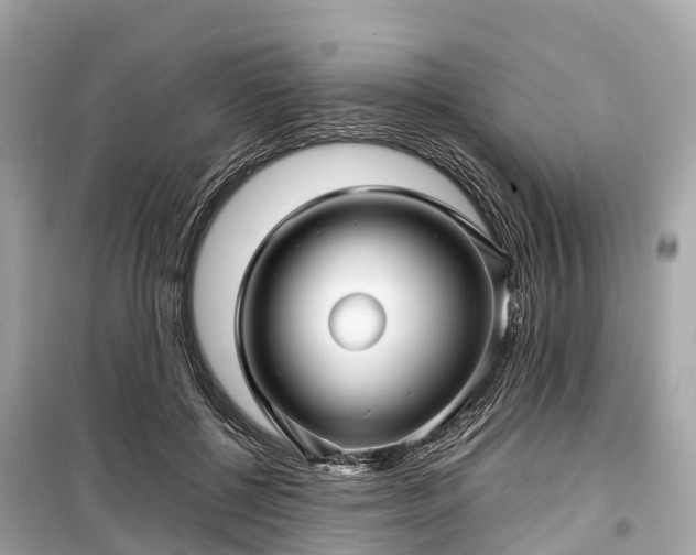 X0000099430552200805161113