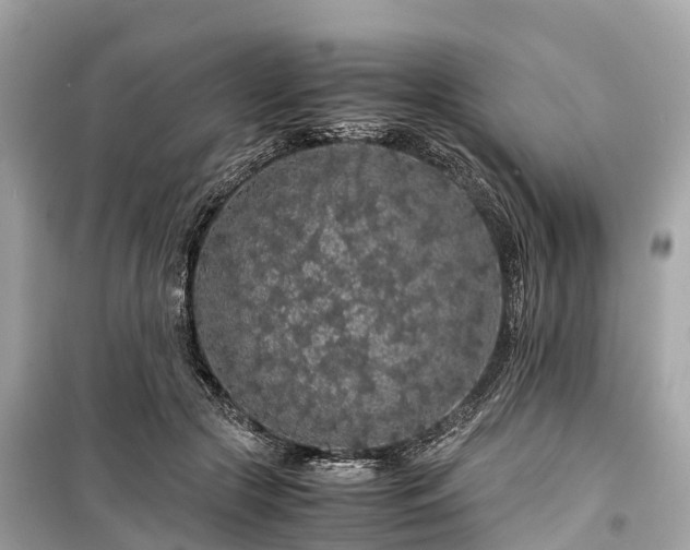 X0000099430553200805161113