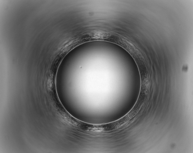 X0000099430554200805161113