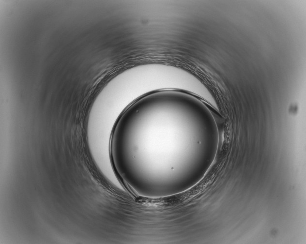 X0000099430560200805161113