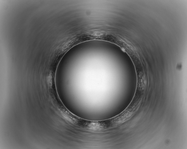 X0000099430562200805161113