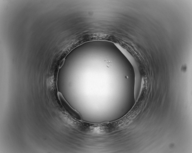 X0000099430564200805161113