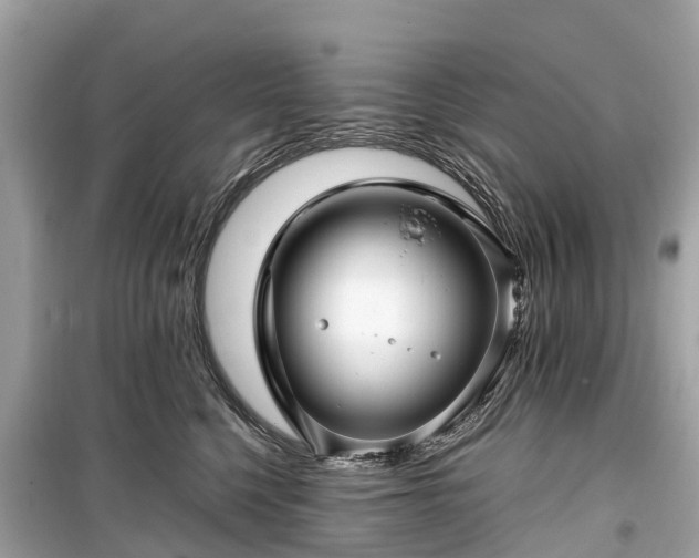 X0000099430568200805161113