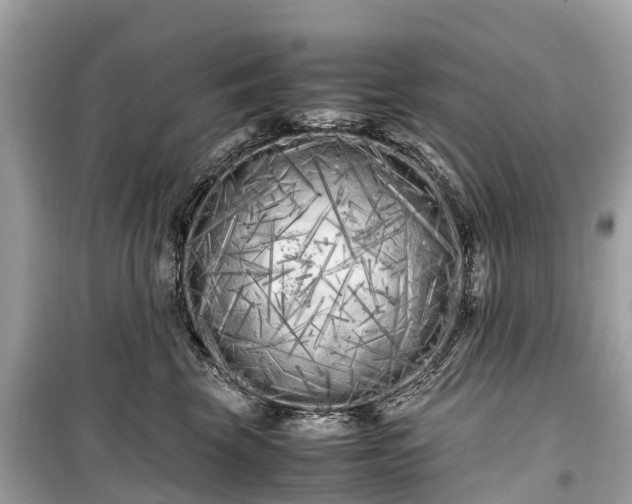 X0000099430569200805161113
