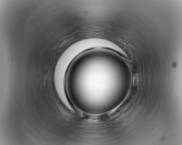 X0000099430570200805161113