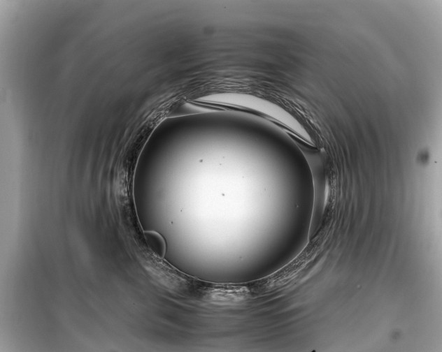 X0000099430571200805161113