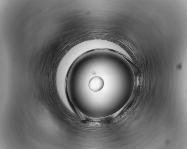 X0000099430572200805161113