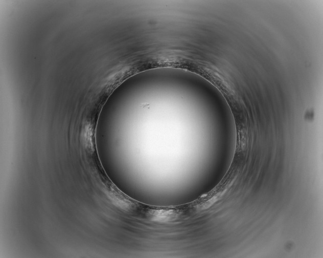 X0000099430575200805161113