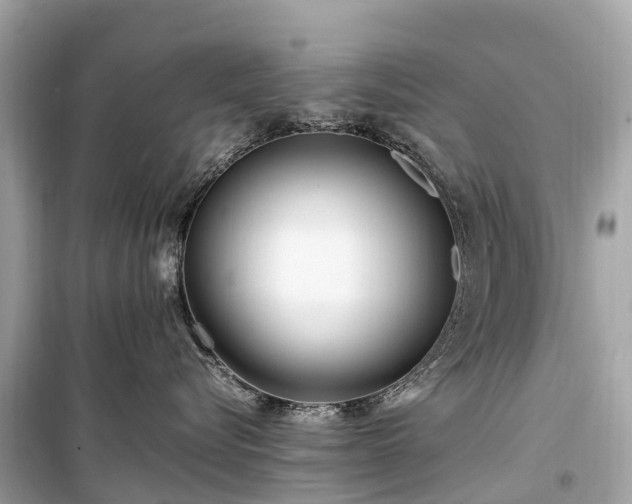 X0000099430576200805161113