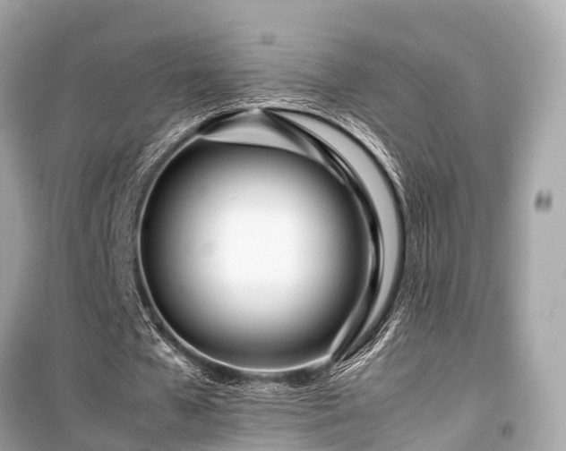 X0000099430577200805161112