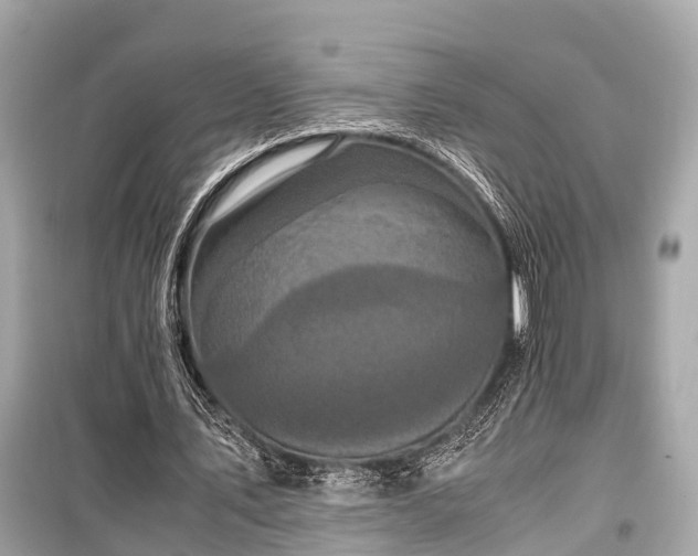 X0000099430579200805161112